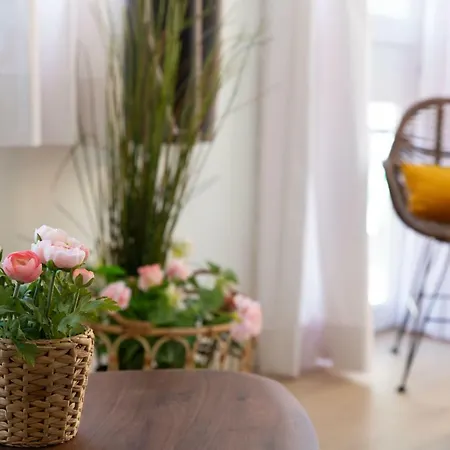 Appartement Soho Puerto